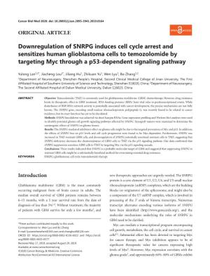 Downregulation of SNRPG Induces Cell Cycle Arrest and Sensitizes Human Glioblastoma Cells to Temozolomide by Targeting Myc Through a P53-Dependent Signaling Pathway
