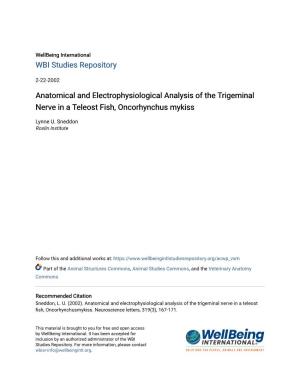 Anatomical and Electrophysiological Analysis of the Trigeminal Nerve in a Teleost Fish, Oncorhynchus Mykiss