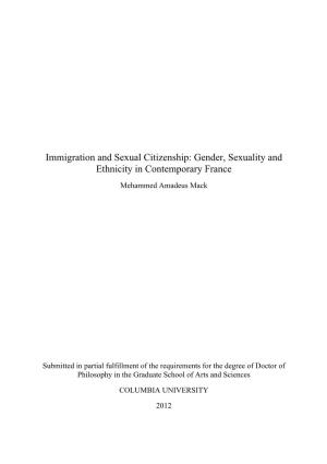 Gender, Sexuality and Ethnicity in Contemporary France