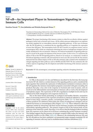 NF-B—An Important Player in Xenoestrogen Signaling in Immune
