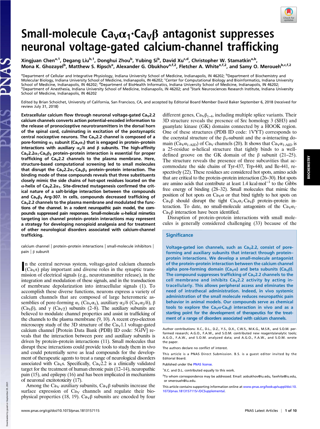 Small-Molecule Cavα1⋅Cavβ Antagonist Suppresses