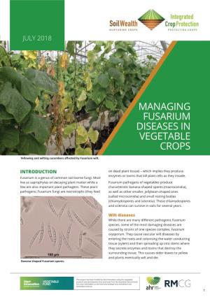 Managing Fusarium Diseases in Vegetable Crops