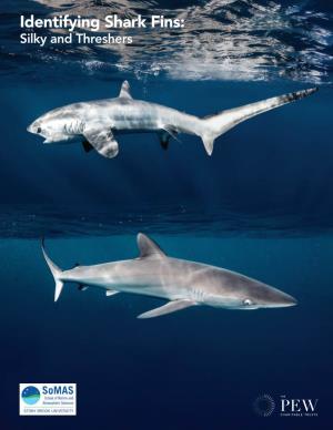 Identifying Shark Fins: Silky and Threshers Fin Landmarks Used in This Guide