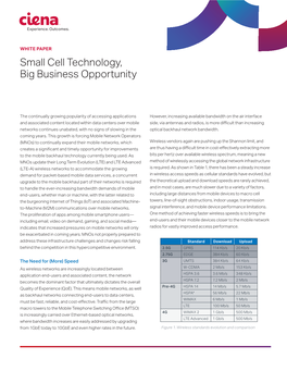 Small Cell Technology, Big Business Opportunity