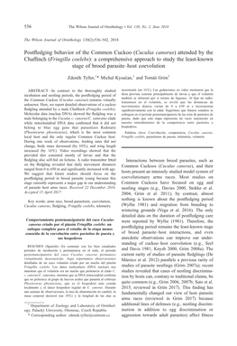 Postfledging Behavior of the Common Cuckoo (Cuculus Canorus