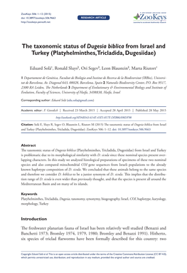 The Taxonomic Status of Dugesia Biblica from Israel and Turkey