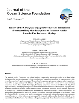 Review of the Chrysiptera Oxycephala Complex of Damselfishes (Pomacentridae) with Descriptions of Three New Species from the East Indian Archipelago