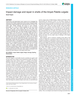 Impact Damage and Repair in Shells of the Limpet Patella Vulgata David Taylor