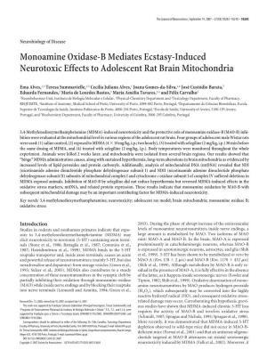 Monoamine Oxidase-B Mediates Ecstasy-Induced Neurotoxic Effects to Adolescent Rat Brain Mitochondria