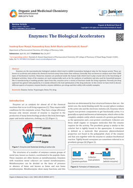 Enzymes: the Biological Accelerators