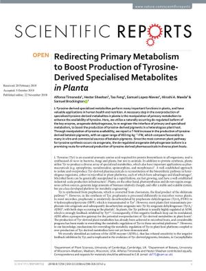 Redirecting Primary Metabolism to Boost Production of Tyrosine