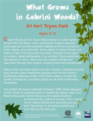 What Grows in Cabrini Woods Worksheet