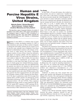 Human and Porcine Hepatitis E Virus Strains, United Kingdom