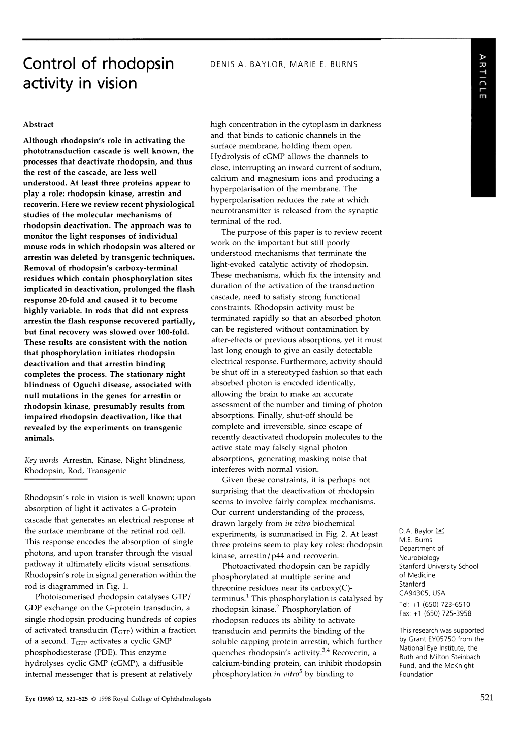 Control of Rhodopsin Activity in Vision