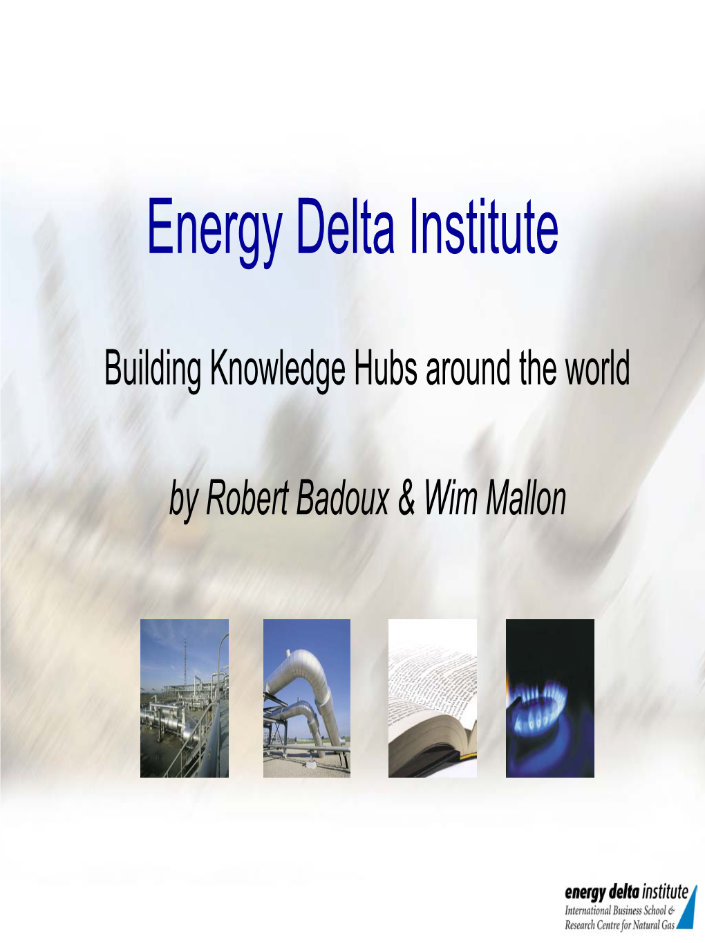 Energy Delta Institute