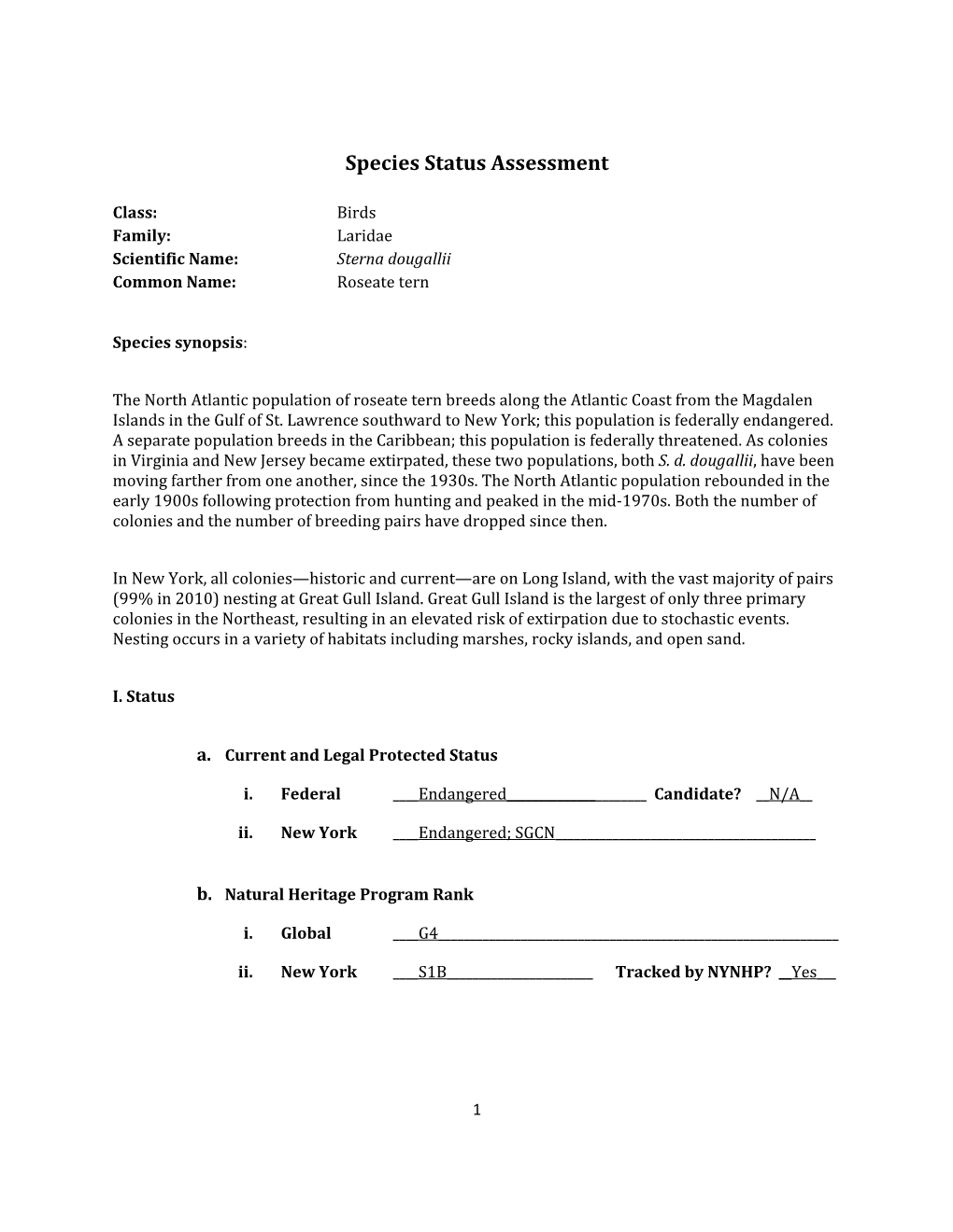 Species Assessment for Roseate Tern