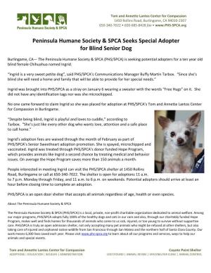 Peninsula Humane Society & SPCA Seeks Special Adopter for Blind Senior