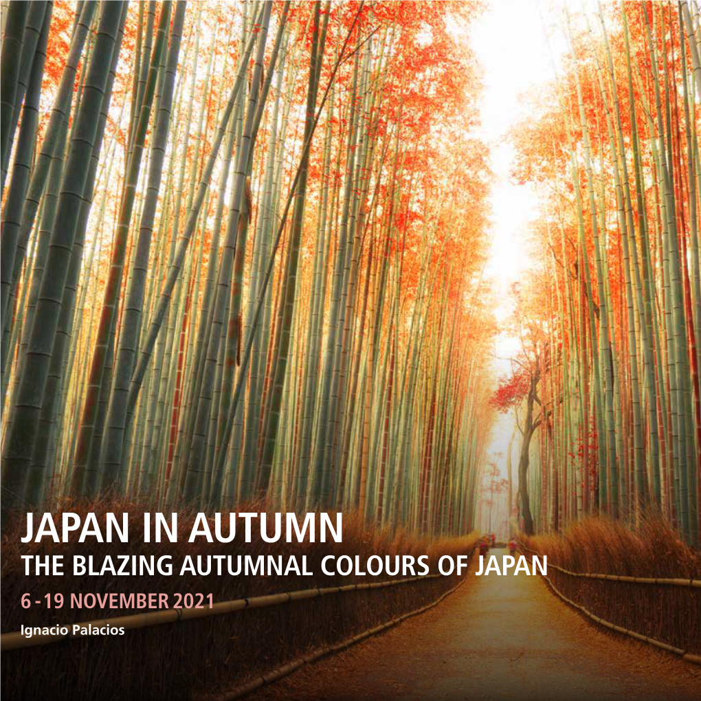 JAPAN in AUTUMN the BLAZING AUTUMNAL COLOURS of JAPAN 6 - 19 NOVEMBER 2021 Ignacio Palacios JAPAN