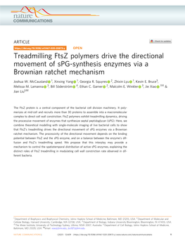 Treadmilling Ftsz Polymers Drive the Directional Movement of Spg-Synthesis Enzymes Via a Brownian Ratchet Mechanism