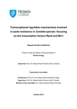 Transcriptional Regulation Mechanisms Involved in Azole Resistance in Candida Species: Focusing on the Transcription Factors Rpn4 and Mrr1