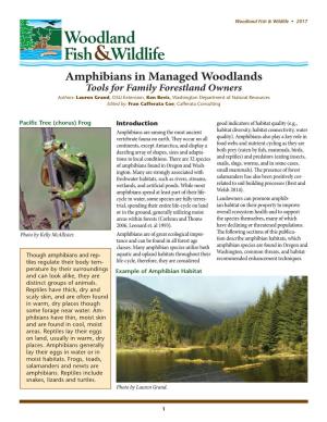 Amphibians in Managed Woodlands: Tools for Family Forestland Owners
