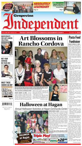 Art Blossoms in Rancho Cordova
