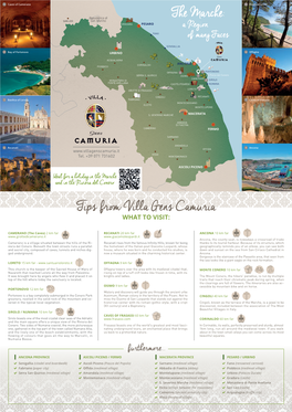 The Marche: Tips from Villa Gens Camuria