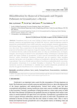 Rhizofiltration for Removal of Inorganic and Organic Pollutants in Groundwater: a Review