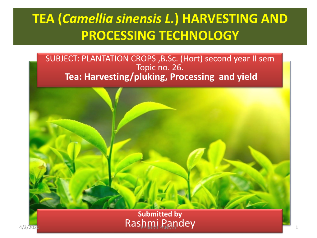 TEA (Camellia Sinensis L.) HARVESTING and PROCESSING TECHNOLOGY