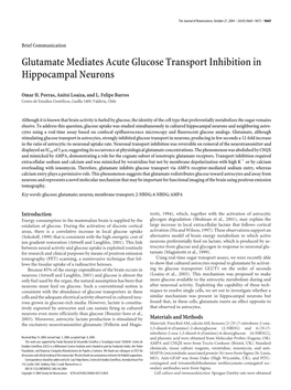 Glutamate Mediates Acute Glucose Transport Inhibition in Hippocampal Neurons