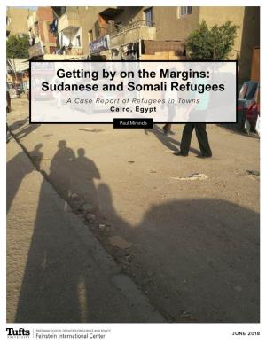 Getting by on the Margins: Sudanese and Somali Refugees a Case Report of Refugees in Towns Cairo, Egypt