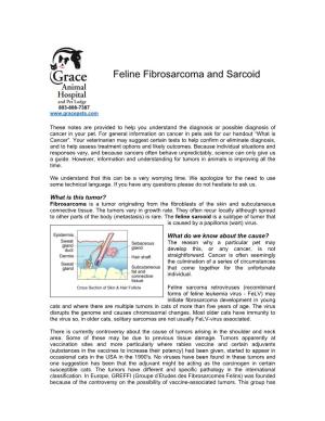 Feline Fibrosarcoma and Sarcoid