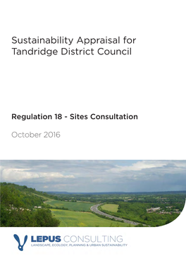 Sustainability Appraisal for Tandridge District Council