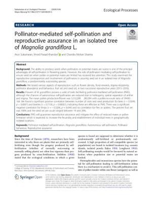 Pollinator-Mediated Self-Pollination and Reproductive Assurance in an Isolated Tree of Magnolia Grandiflora L