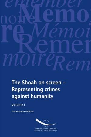 The Shoah on Screen – Representing Crimes Against Humanity Big Screen, Film-Makers Generally Have to Address the Key Question of Realism