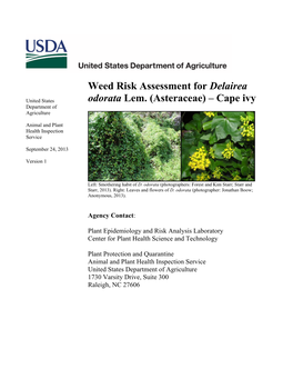 Weed Risk Assessment for Delairea Odorata Lem. (Asteraceae) – Cape