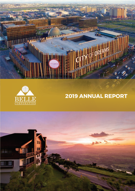 2019 Annual Report Vision