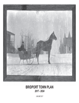 Bridport Town Plan 2017 - 2024