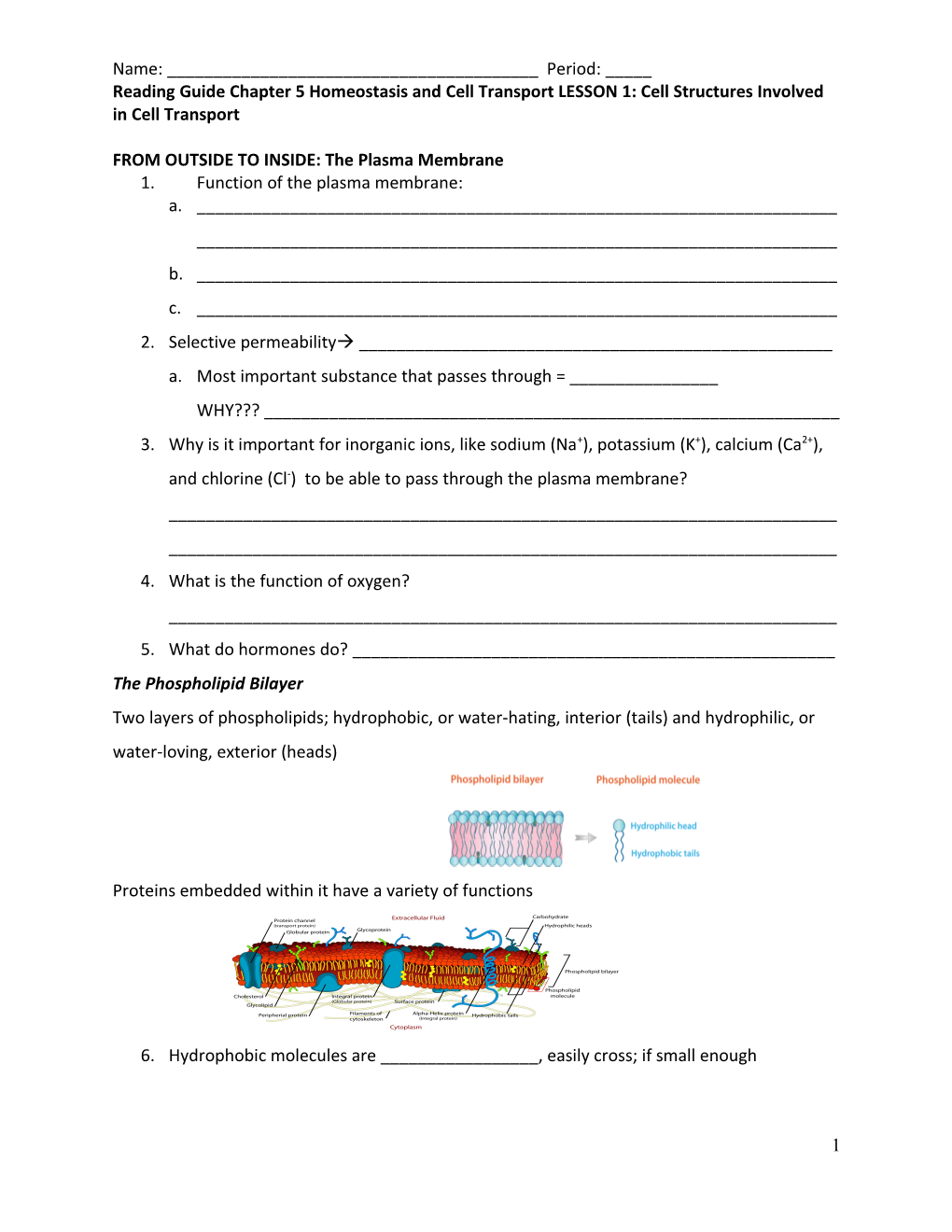 FROM OUTSIDE to INSIDE: the Plasma Membrane