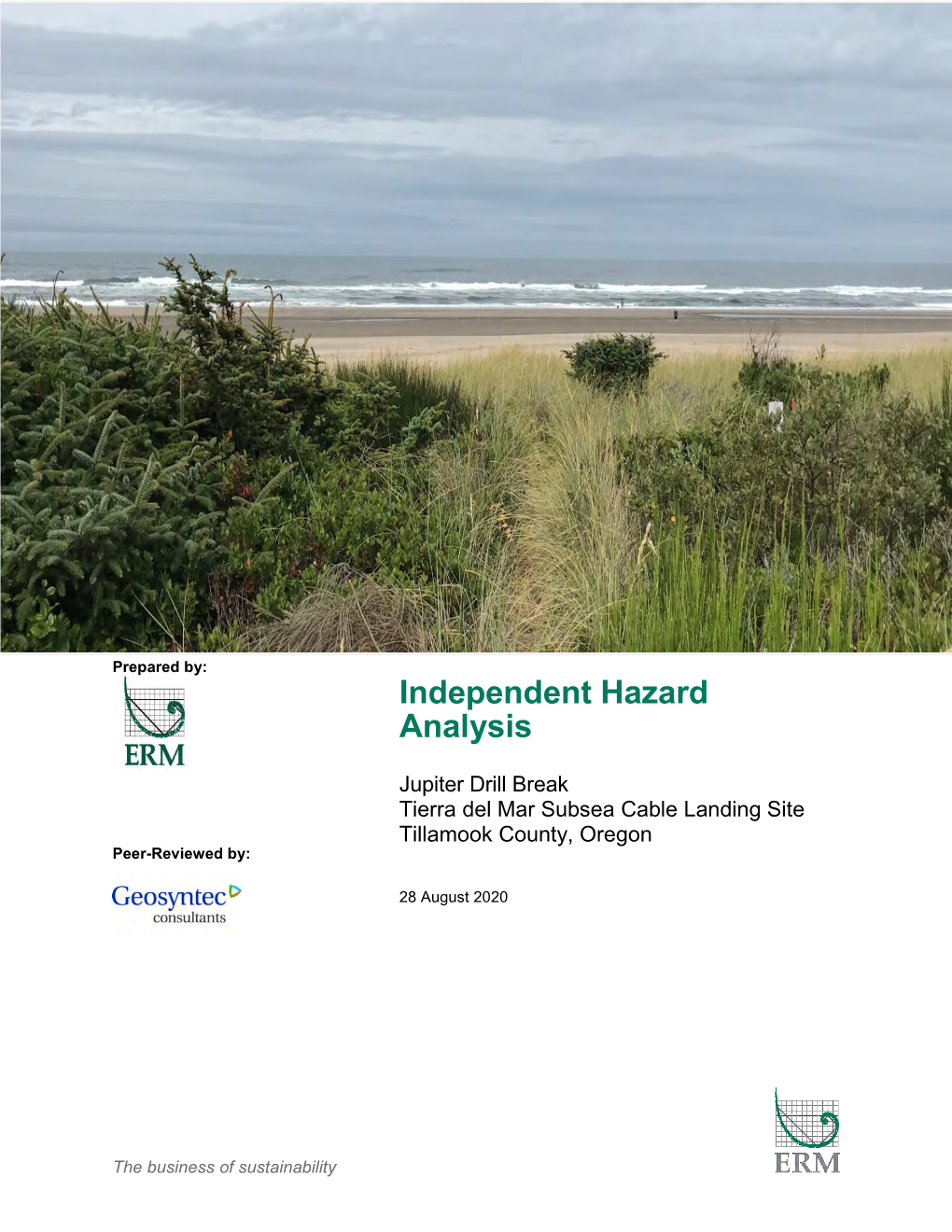 Independent Hazard Analysis