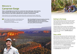 Carnarvon Gorge, Carnarvon National Park Guide