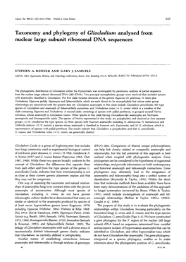 Taxonomy and Phylogeny of Gliocladium Analysed from Nuclear Large Subunit Ribosomal DNA Sequences