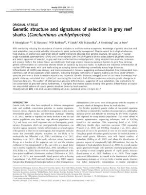 Genetic Structure and Signatures of Selection in Grey Reef Sharks (Carcharhinus Amblyrhynchos)