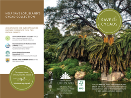 SAVE the CYCADS JOIN LOTUSLAND and OUR DISTINGUISHED PARTNERS to COMPLETE THESE TWO CRITICAL PROJECTS