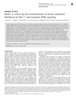 Bach1 Is Critical for the Transformation of Mouse Embryonic Fibroblasts by Rasv12 and Maintains ERK Signaling