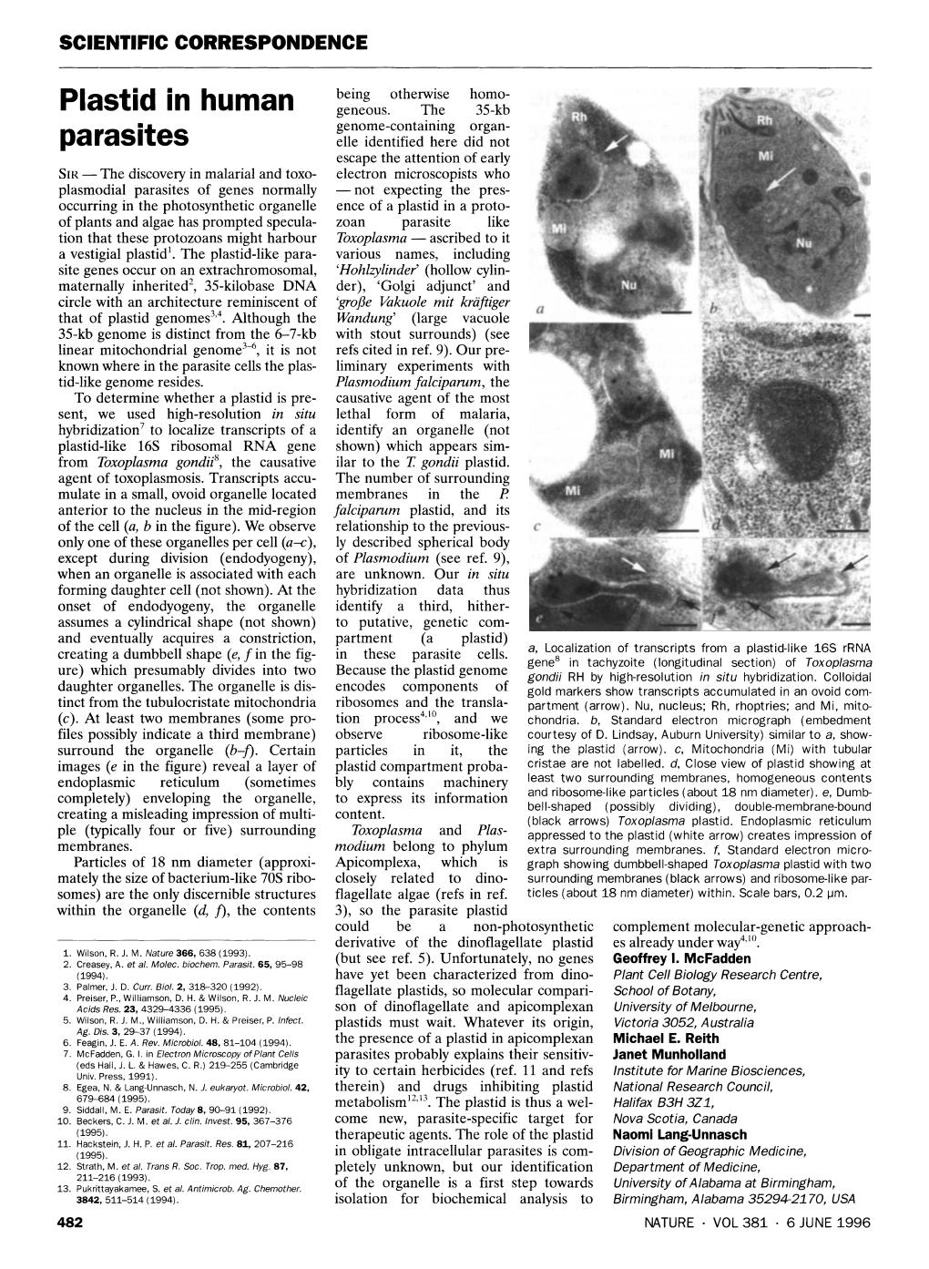 Plastid in Human Parasites