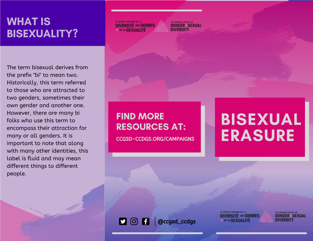 Bisexual Erasure Brochure