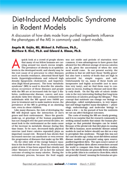 Diet-Induced Metabolic Syndrome in Rodent Models