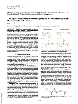 Bacteriorhodopsin and the Mammalian Rhodopsin H