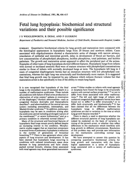 Fetal Lung Hypoplasia: Biochemical and Structural Variations and Their Possible Significance